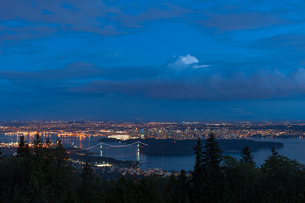 Cypress Mountain Barrett's View