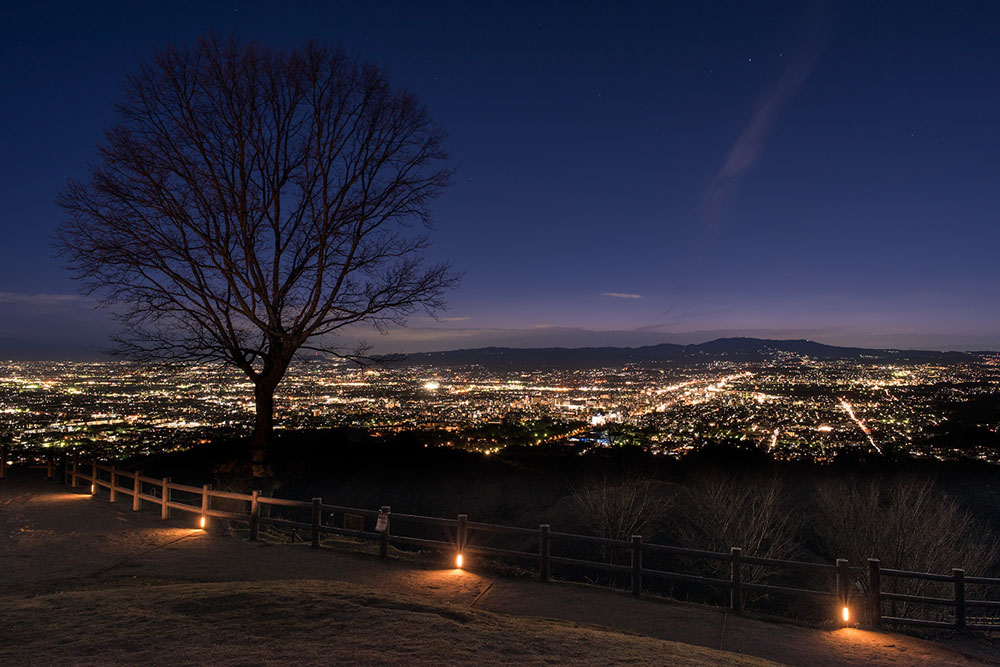 Night view from Wakakusayama Hill