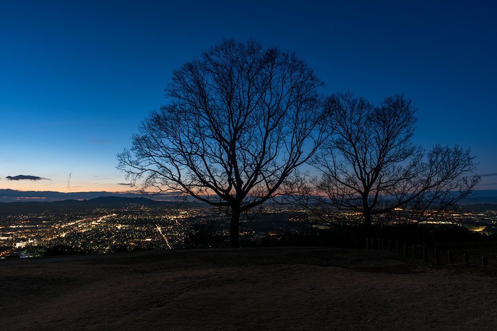 Night view from Wakakusayama Hill