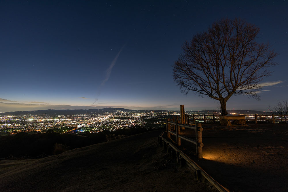 Night view from Wakakusayama Hill