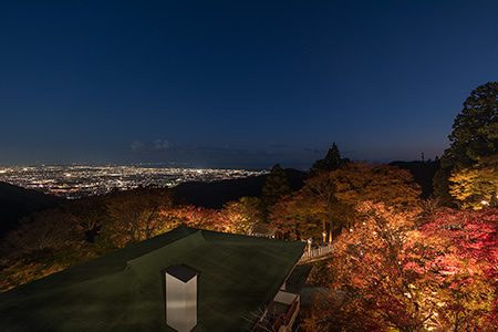 大山阿夫利神社の夜景