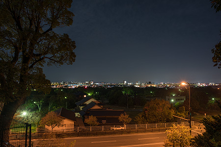 地緑神社の夜景