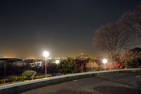 千島公園　昭和山の夜景