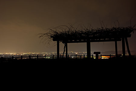 八尾中核工業団地展望台の夜景