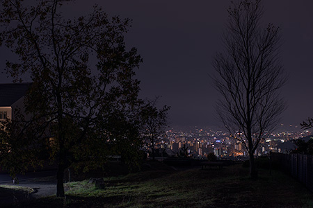 道後平ニュータウン パノラマパークの夜景