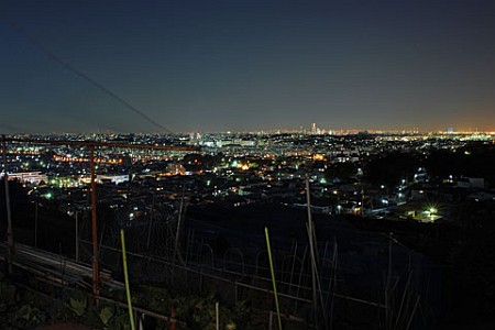 円海山の夜景