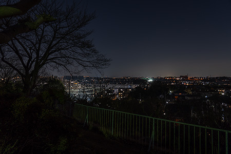ふじみ公園の夜景