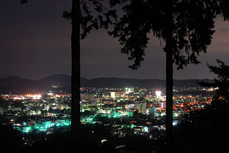 富士山公園の夜景
