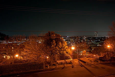 藤谷戸公園の夜景