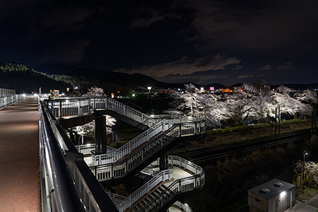 しばた千桜橋の夜景