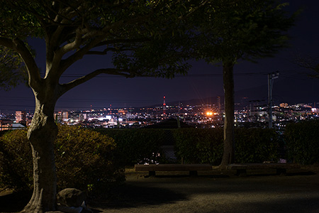 光ヶ丘公園の夜景