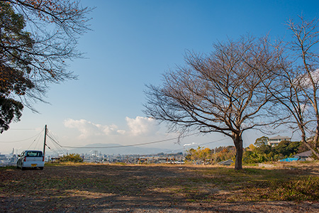 比奈公園の夜景