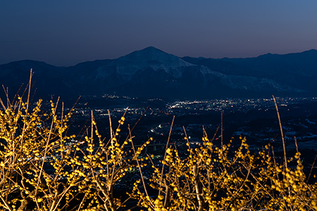 宝登山の夜景