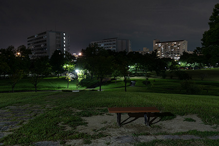 稲永東公園の夜景