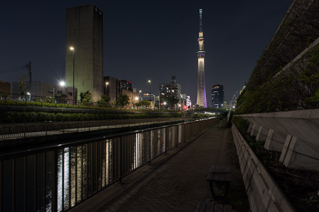 北十間川　遊歩道の夜景