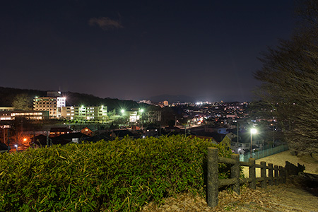 かまぬき公園の夜景