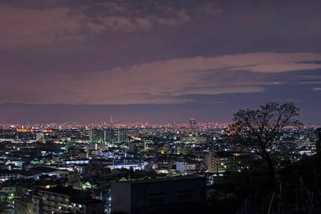 観音寺展望台の夜景