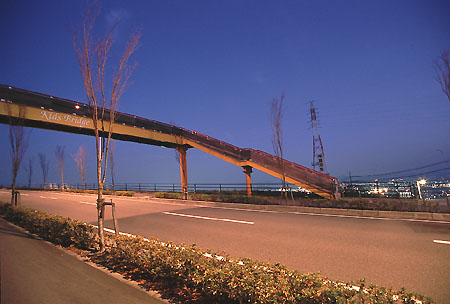 Kid's Bridge
