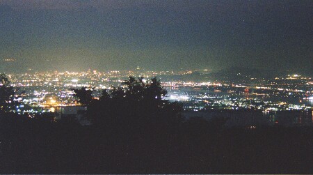 金甲山の夜景