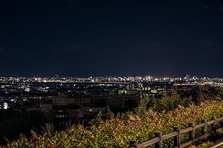 紀ノ川SA（下り）の夜景