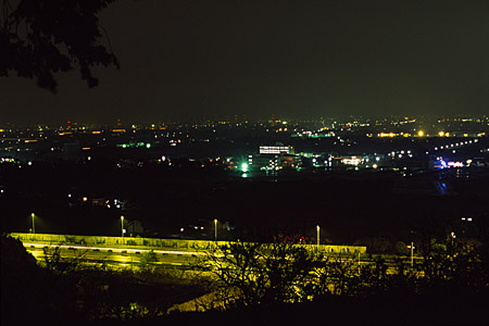 金立公園の夜景