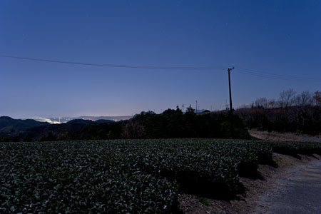 岸の夜景