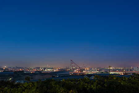 富岡総合公園 北台展望台の夜景