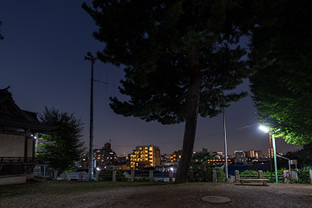 小山八幡神社の夜景