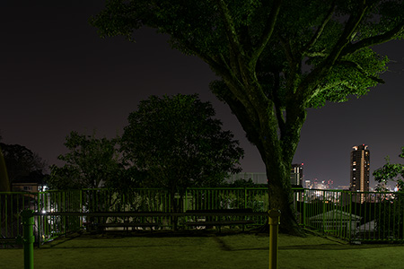 熊内台北公園の夜景