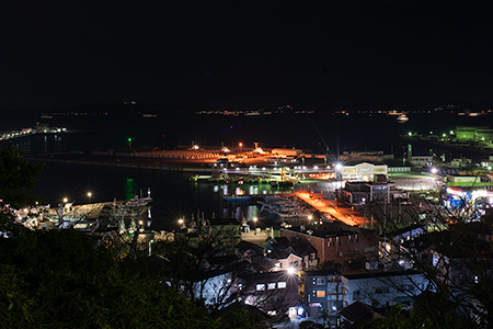 くりはま花の国の夜景