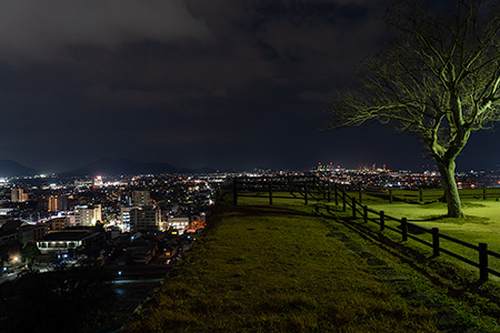 丸亀城の夜景