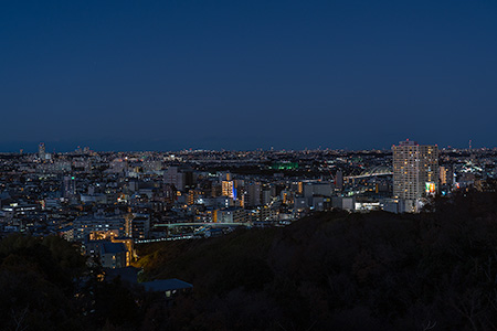 枡形山の夜景