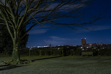 桝井西公園