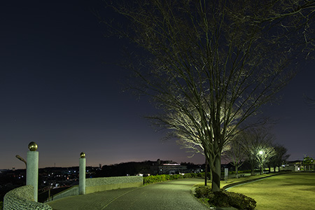 東俣野中央公園の夜景