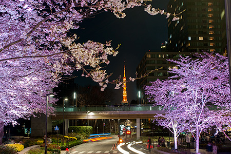 東京ミッドタウンの夜景