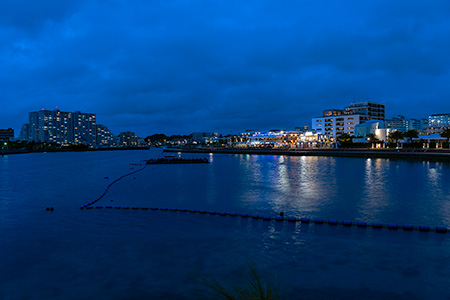 美浜海岸の夜景