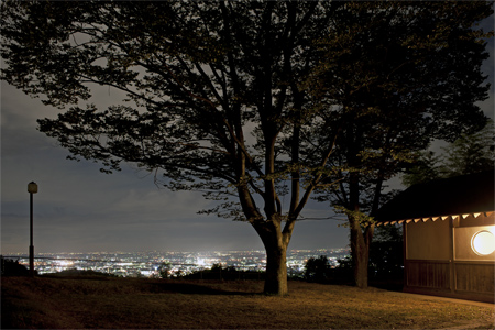 中島記念公園の夜景