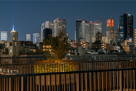 おかのうえ公園の夜景