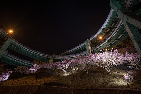 河津七滝ループ橋の夜景