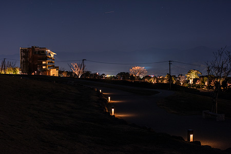 日本平公園 芝生広場の夜景