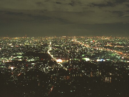 額田山展望台の夜景
