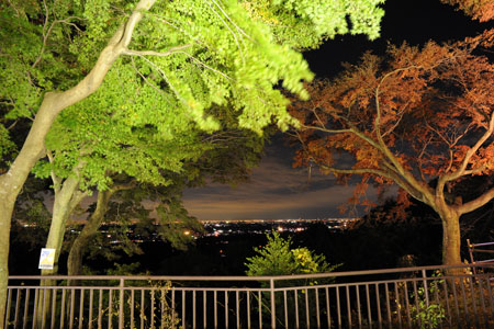 太平山　あづま家の夜景