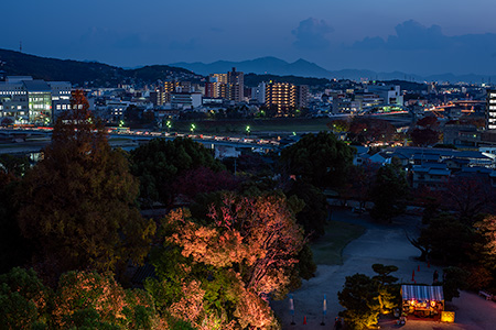 岡山城 天守閣の夜景