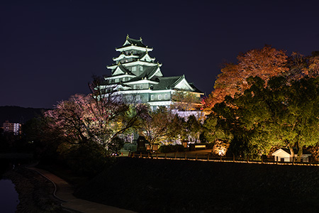 岡山城 天守閣の夜景