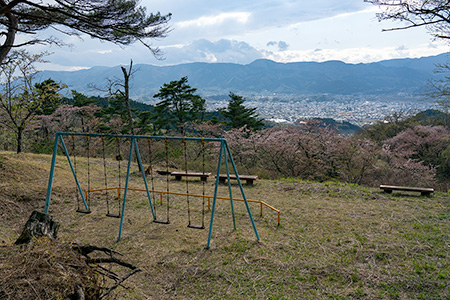 大萩山公園の夜景