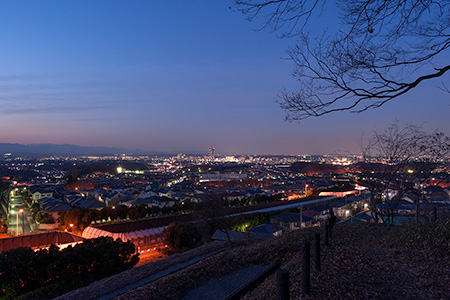 大塚山公園　絹の道の夜景