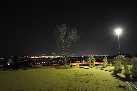 オナーズヒル白梅の丘　展望公園の夜景