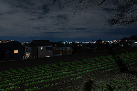尾根緑道 小山田桜台1号緑地の夜景
