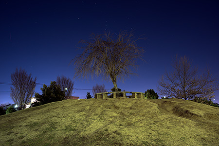 プリンスの丘公園の夜景