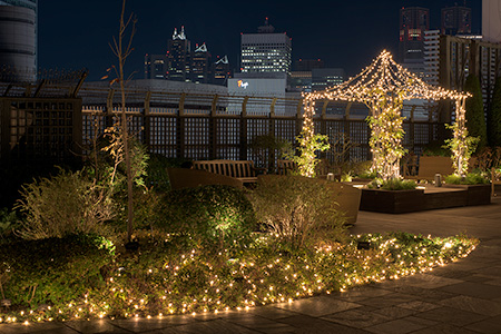 新宿マルイ本館　屋上庭園Q-COURTの夜景